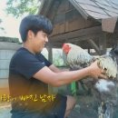 닭세상농장 이미지