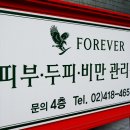 포에버에스테틱