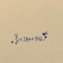 [캘리그라피] 끄적끄적. 딥펜이 내게로 왔다. 이미지