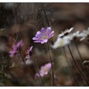 성주골 - 부천시 소사구 | 성주골