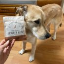 도그바라기 | 강아지건강식 자연식 화식 사료 도그다이닝 7종