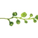 까페그릴로 부산시청점 이미지