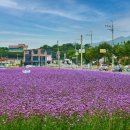 모산 이미지