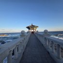 동해파도소리 | 속초 영금정 후기 파도 소리가 매력적인 동해 바다 산책 명소