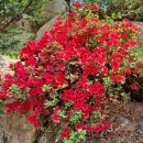 소천월가 이미지