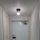 우성동백 이미지