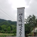 새술막막국수