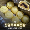 진영홈인테리어 | [진영 맛집] 달달하고 쫄깃한 간식 추천, 한 박스 구매 후기 (내돈내산) "진영옥수수찐빵"