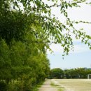 마포, 걷고싶은길 6코스 이미지