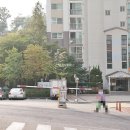 신월동237 이미지