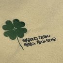 종로-연건-종로-연-493 | VOL3 행복하다 말하니 행복이 찾아 오네요 💭🍀