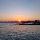 세화오일시장 이미지