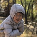 초안산 유아숲체험장 이미지