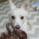 꼼스테이블 이미지