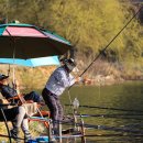 차평낚시터 이미지