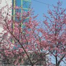 성주농협주유소 이미지