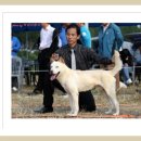 천왕봉 펜션 이미지