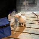 케렌시아캠핑장 이미지