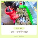 다솜생태체험관 | 경산 다솜생태체험관 대구 근교 아기랑 가기 좋은 실내 동물원