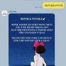 모모애견미용실 | 애견미용 추천｜말티즈 모모가 다니는 원주 살랑더테일 (2)