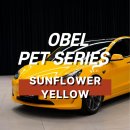 선플라워 | 강남랩핑 테슬라 랩핑 OBEL SUNFLOWER YELLOW 선플라워 옐로우 후기