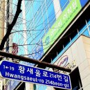 분당-115 이미지