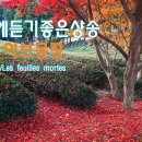 이브몽땅의 [고엽], 샹송, 가을에 듣기좋은 샹송,힐링음악, Yves Montand, Les Feuilles Mortes, 2곡연속듣기 이미지