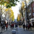 가로수길 이미지