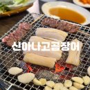 아라곰장어 이미지