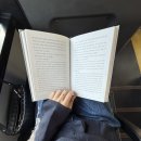 최고로 | 양귀자 - 모순과 나는 소망한다 내게 금지된 것을 (책 추천 추천 추천 최고로 긴 후기…! )