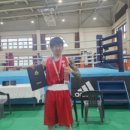 용인대 TOP 복싱 이미지