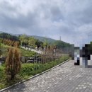 가평 양떼목장 이미지