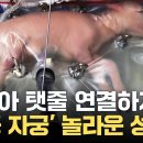 미숙아 탯줄 다시 연결하자...'인공 자궁' 놀라운 성과 / YTN 이미지