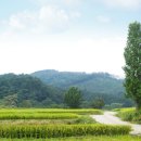 그리운 언덕 이미지