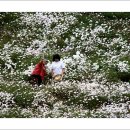 공주-07 이미지