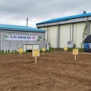 키움농장 이미지