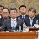 축구는 '졸전', 청문회선 '황당질의'…"왜 졌냐?" 최악 질문까지 이미지