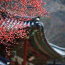 시청행정사사무소 이미지