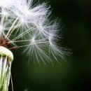 하남농장 이미지