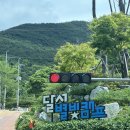 달서별빛캠프 캠핑장 | 대구 캠핑장 | 달서 별빛 캠프 오토캠핑장 예약, 이용 후기