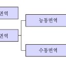 Re: 공중보건 뽀개기 p347, 면역의 분류 이미지