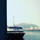 드림호약국 이미지