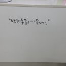 펫콜 이미지