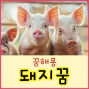 돼지꿈 - 서구 길주로76번길 3 | 돼지꿈