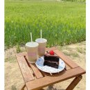 [마감] 4월26일(일) 오전8시 당진 피어라카페 청보리밭 나들이 이미지