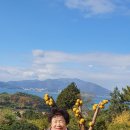 갈현목장 이미지