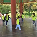 해냄스포츠클럽 차돌합기도 이미지