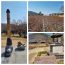 인흥길 | 화원-남평문씨세거지~대구수목원_2025.03.20