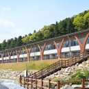 진안고원치유의숲 이미지