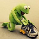 채널24 이미지
